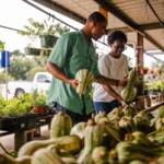 Profile picture of Your Agriculture